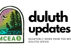 a graphic of a loon, trees, and lake with the words duluth updates