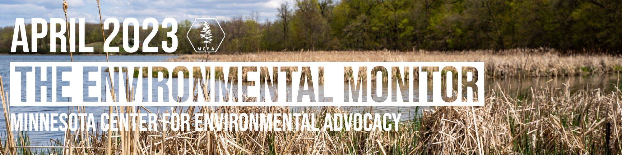banner of april environmental monitor newsletter with a wetland scene