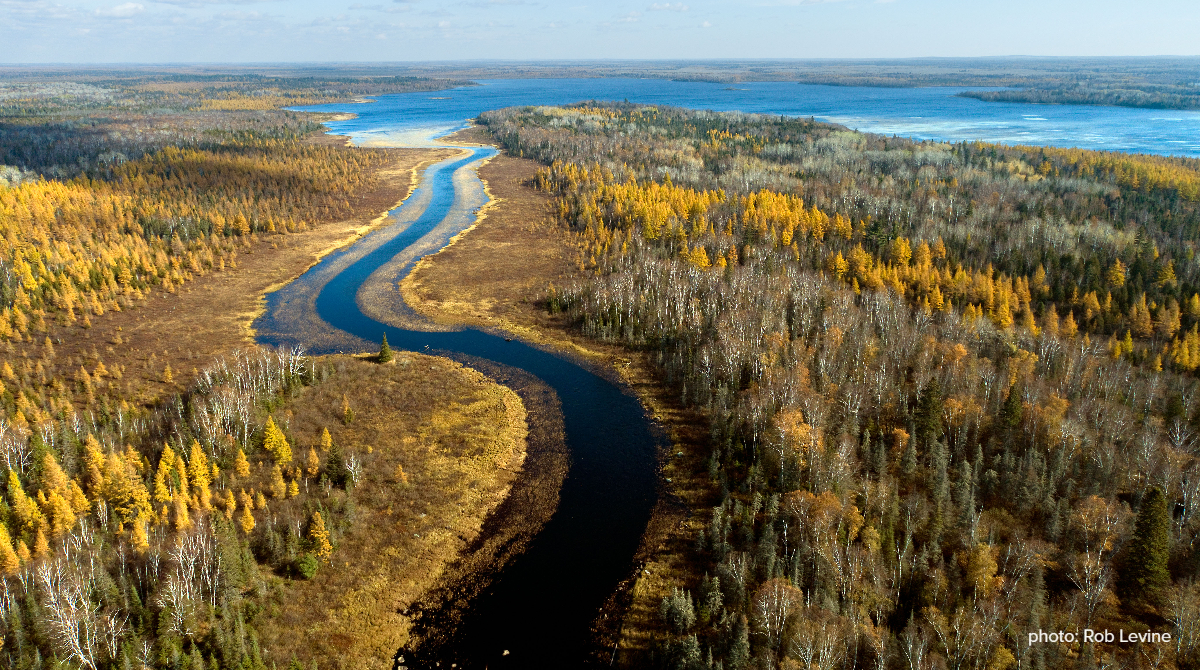 blue water snakes through foliage in an aerial shot