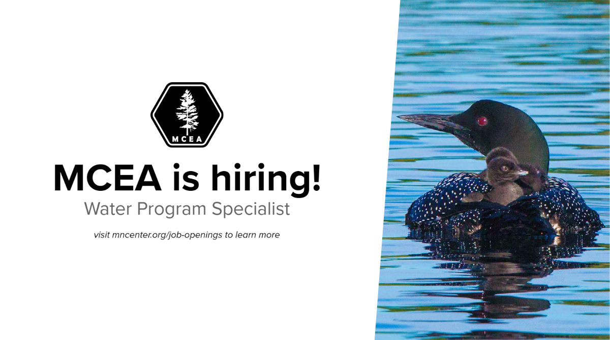 a loon with baby loons on her back with the words we're hiring