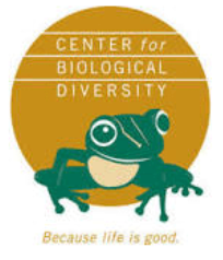 biodiversity logo with tree frog