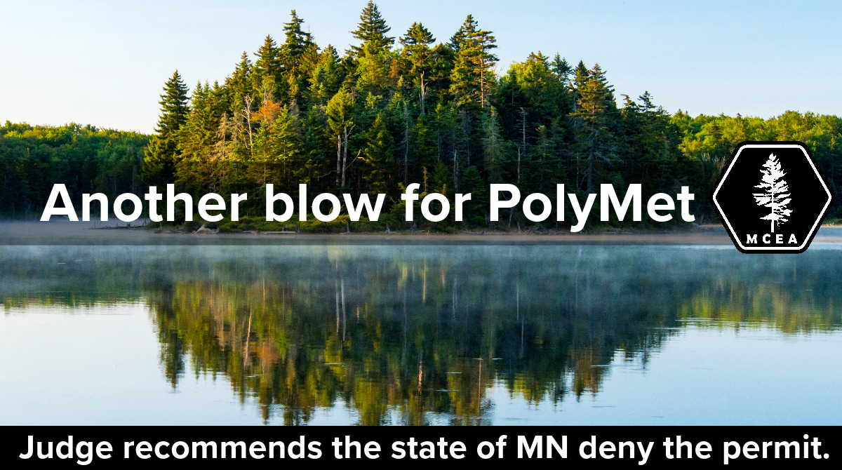 trees in a lake with the words: another blow for polymet