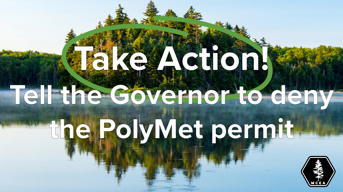 the words take action: deny polymet over a forest and lake