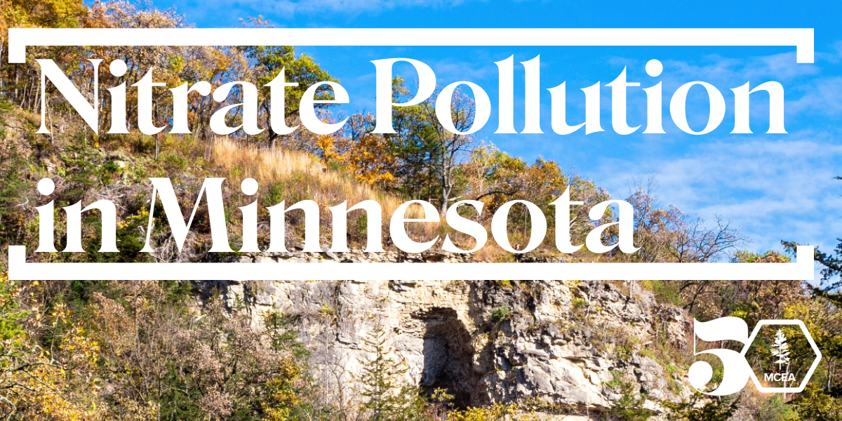 the words nitrate pollution in MN over karst rock