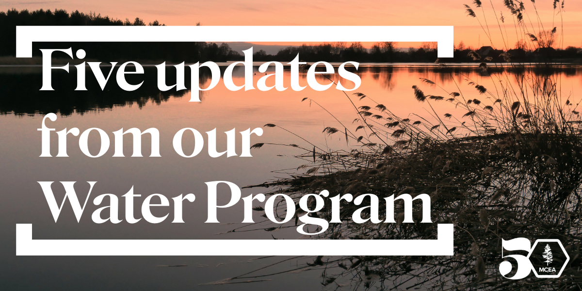 five updates from our water program on a riverbank in a pink sunsut