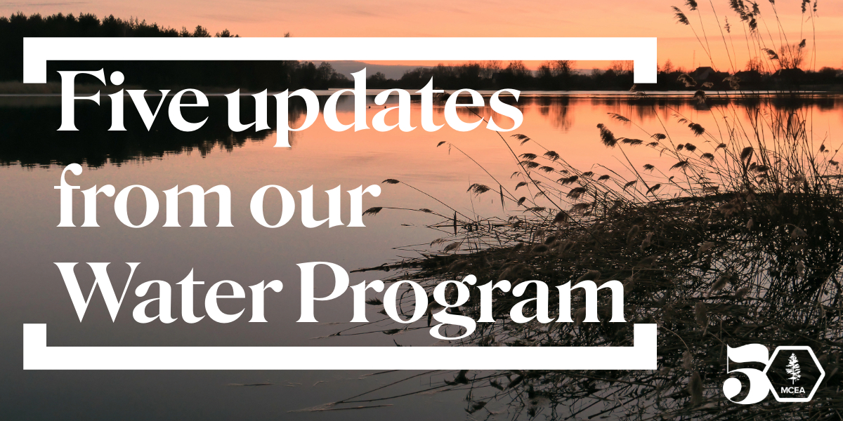 five updates from our water program on a riverbank in a pink sunsut