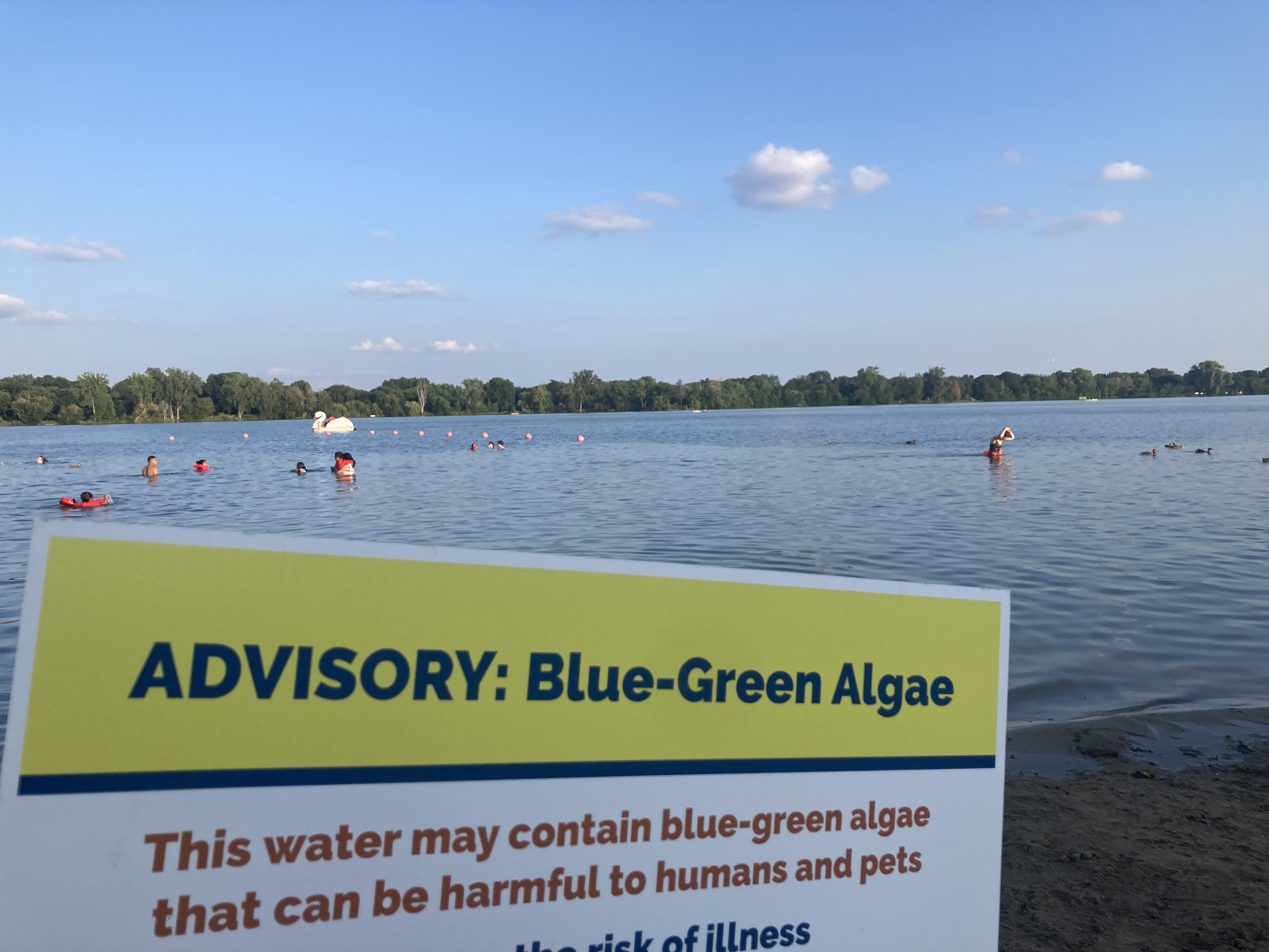 a lake with people swimming in it and a sign that says warning may contain blue green algae, which can be harmful for pets and people