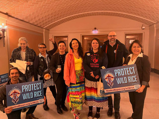 group of people working for wild rice protections at the capitol