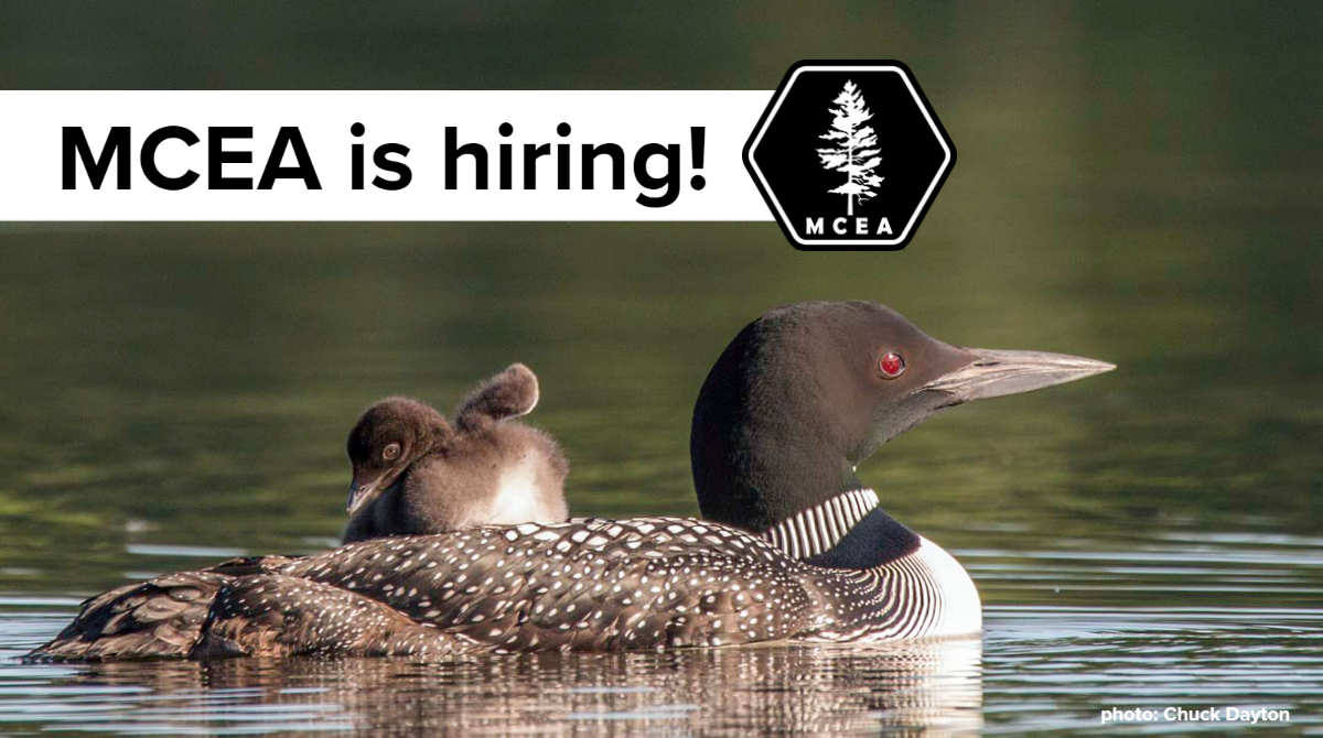 MCEA is Hiring! Apply by June 6