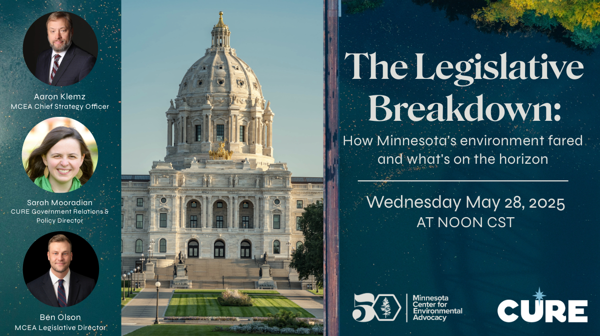 the legislative breakdown with the minnesota state capitol building
