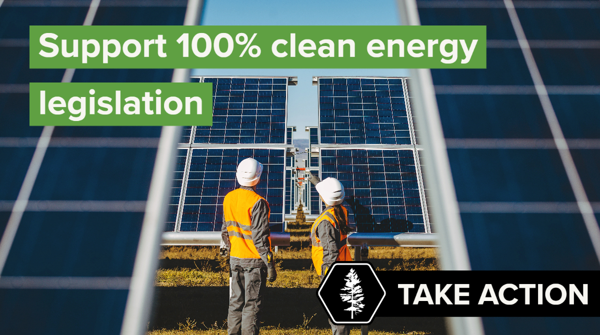 support 100% clean energy