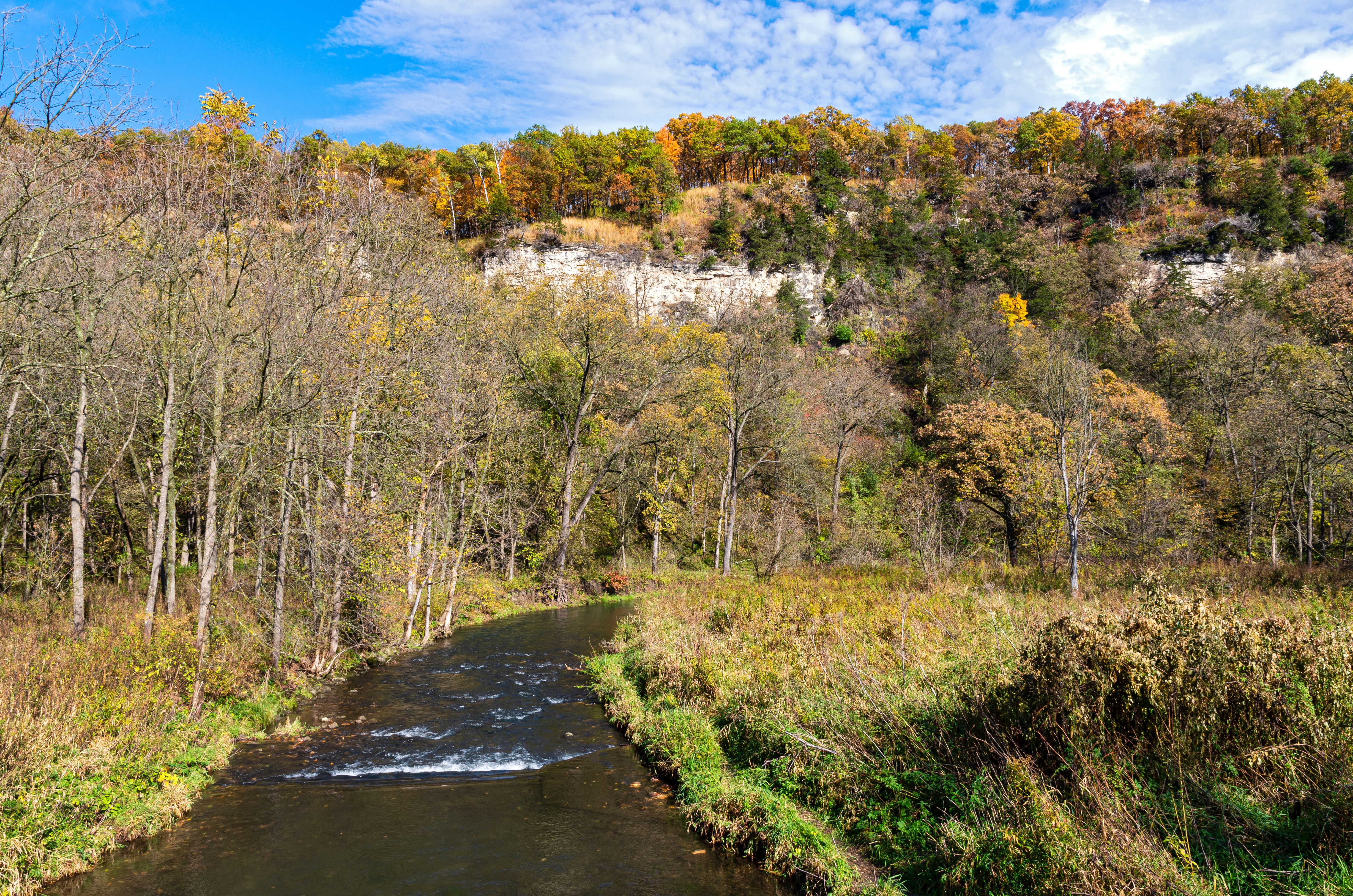 image of a hillside at Whitewater State Park in fall trees and river in foreground