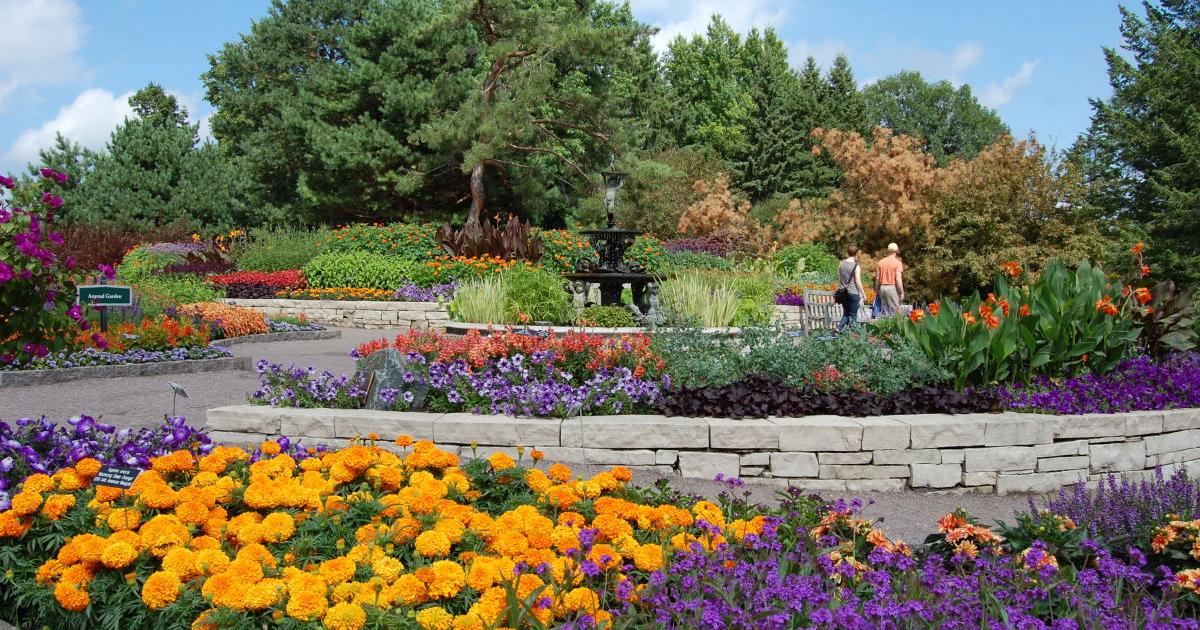 UMN arboretum