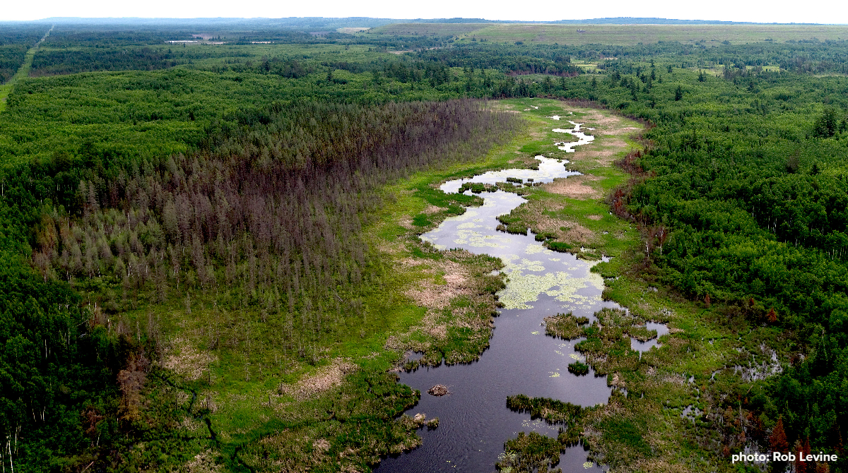 Image near Proposed PolyMet site by Rob Levine