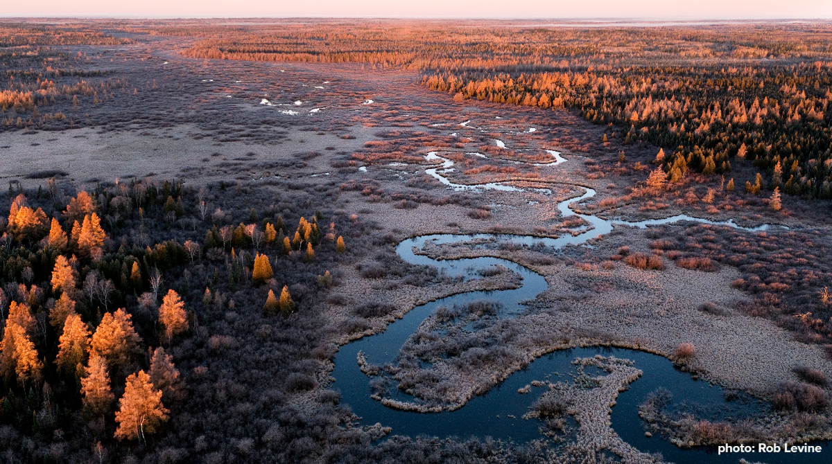 Image near Proposed PolyMet site by Rob Levine