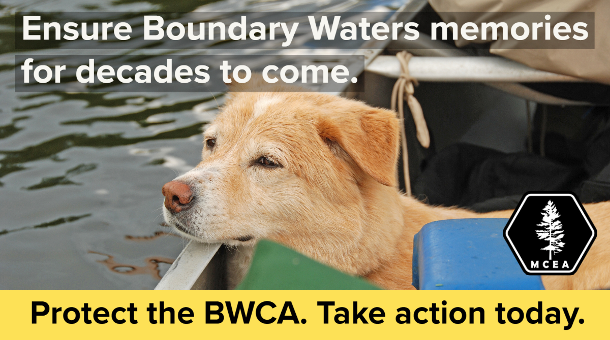 Take action to protect the BWCA