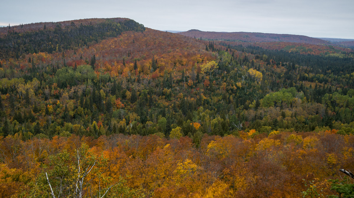 Superior National Forest