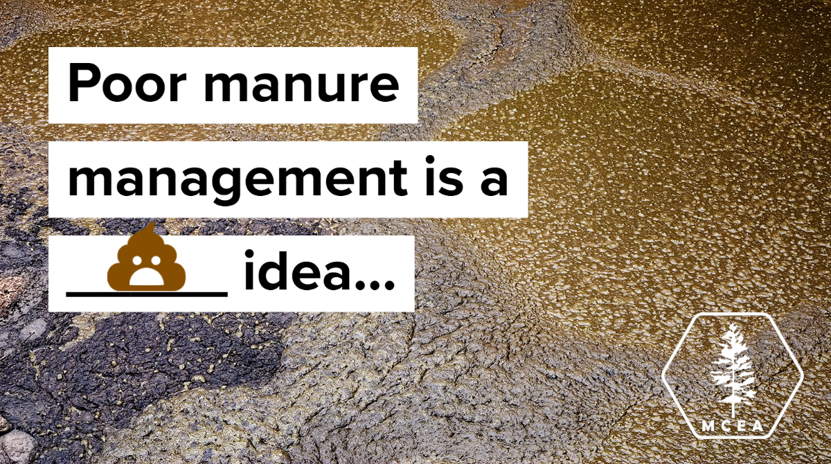 Bad manure management