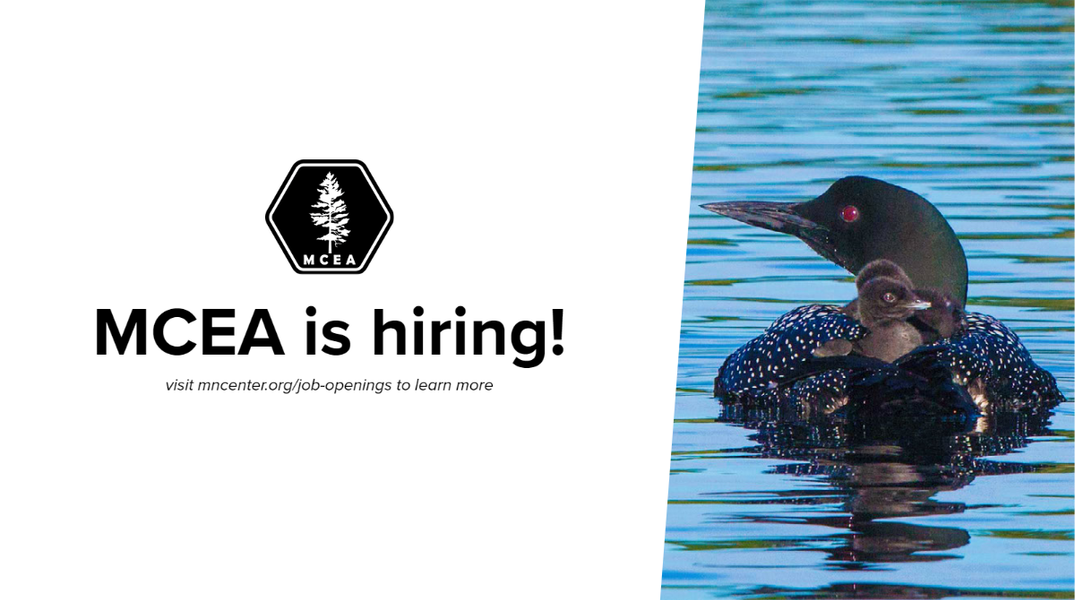 we're hiring graphic with a loon
