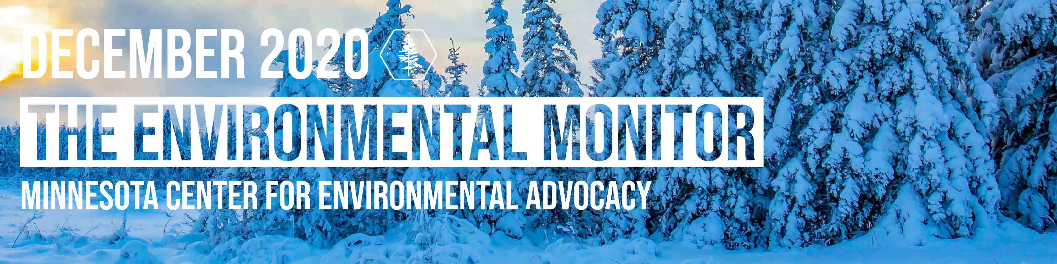 December 2020 The Environmental Monitor