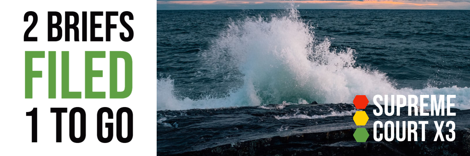 2 briefs Filed 1 to go with picture of wave crashing and Supreme Court x3 logo on the bottom right hand side