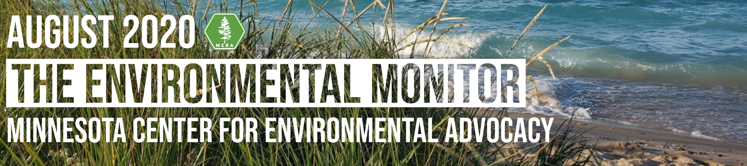 August 2020 The Environmental Monitor Minnesota Center for Environmental Advocacy