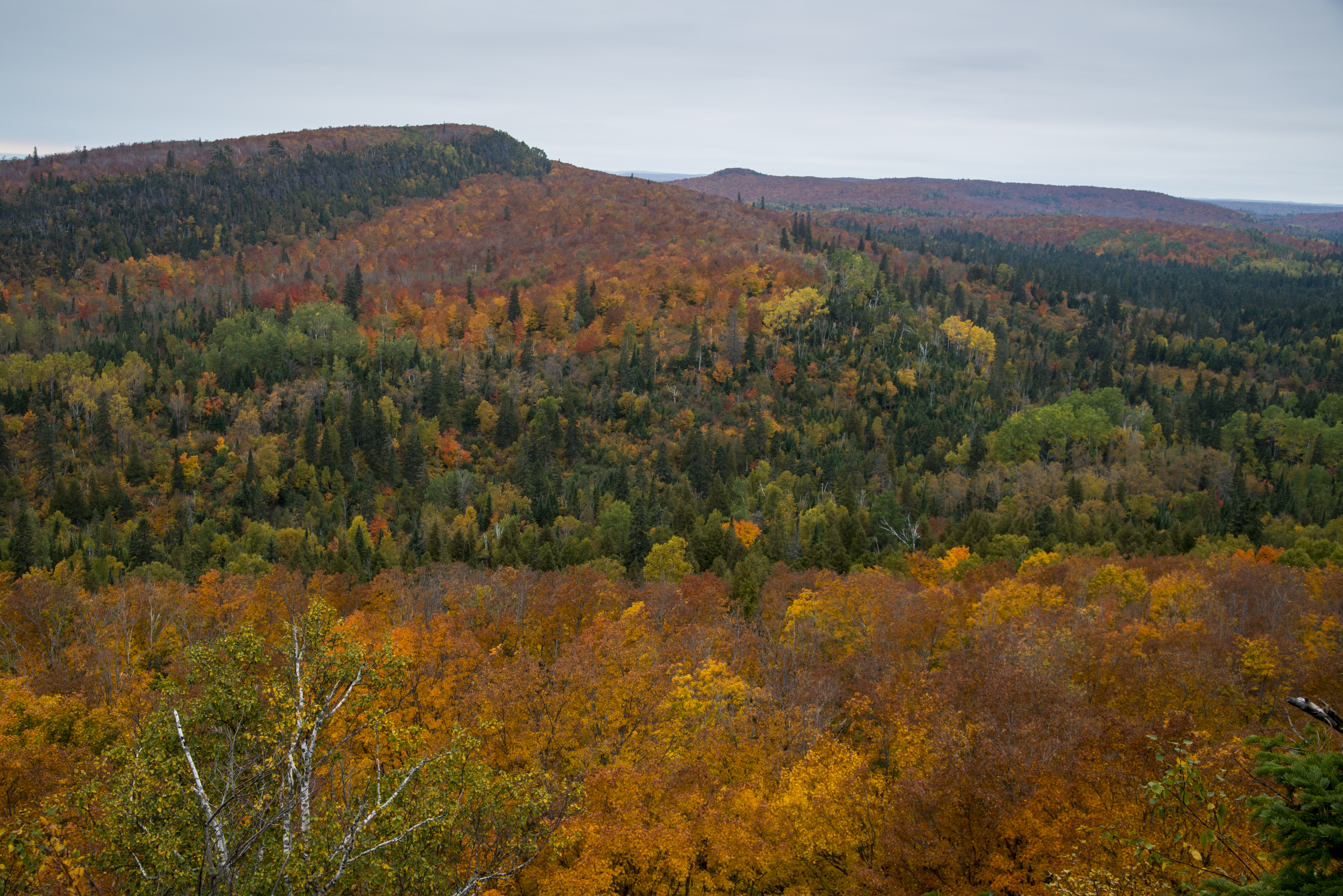 image of superior national forest