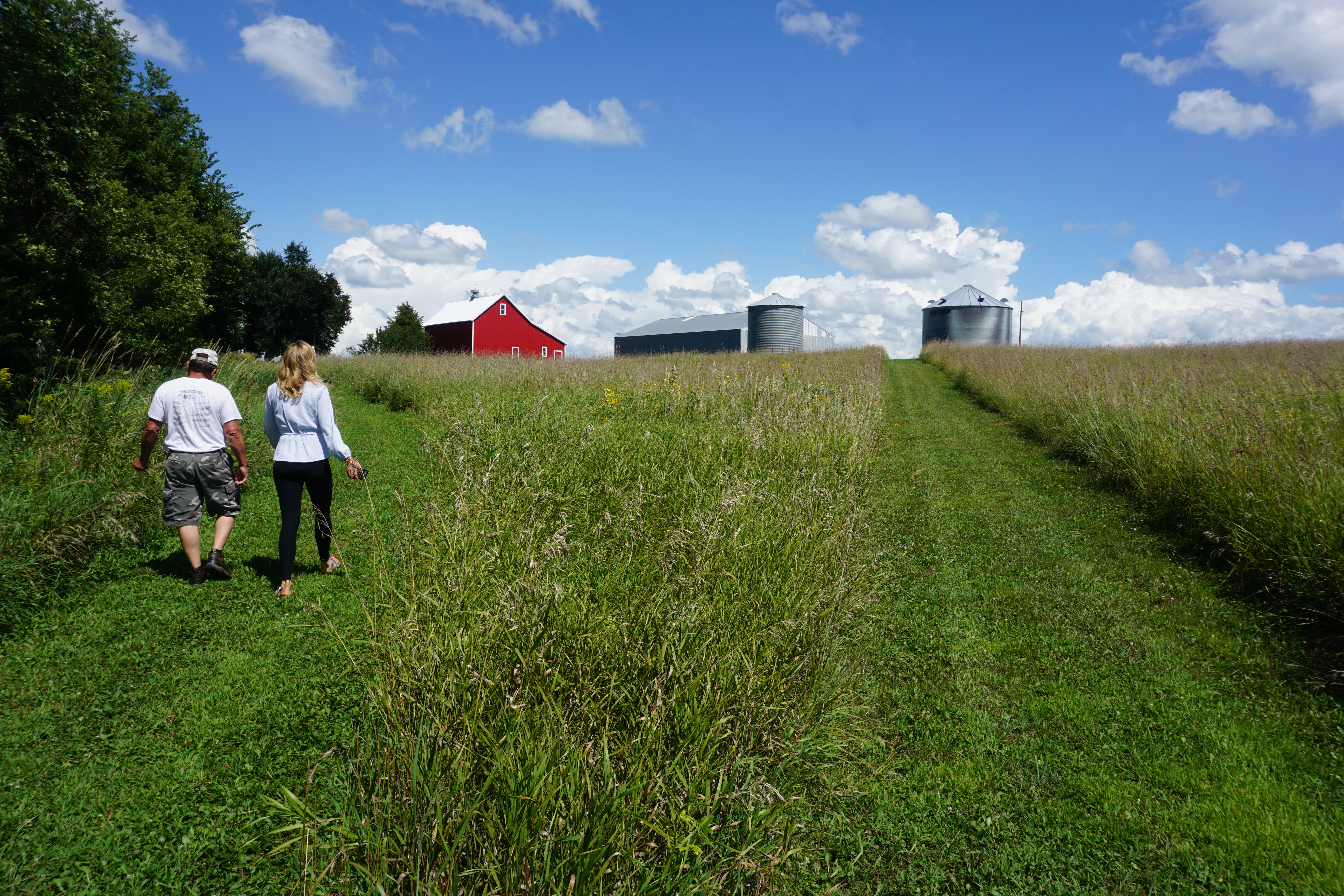 Photo of Tom Kalahar walking along a path towards a red farm building