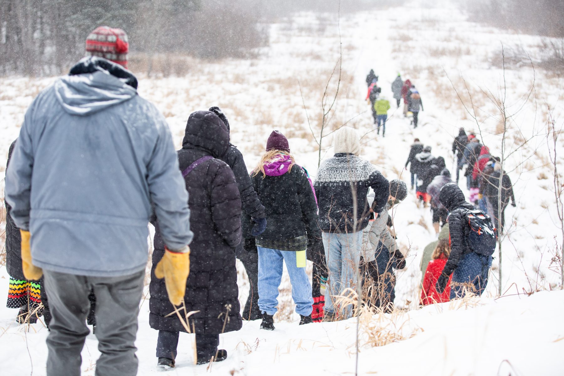 Water Protectors walking on a trail