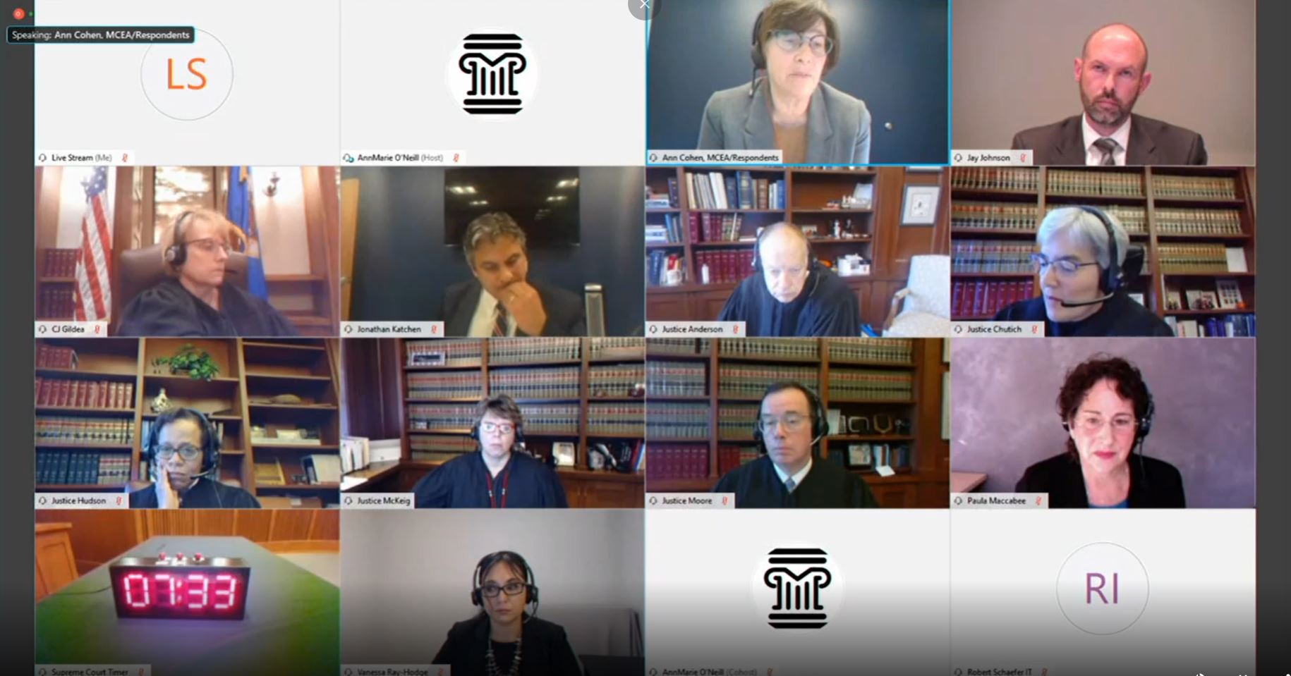 Image of the virtual Supreme Court oral argument on PolyMet permit to mine and dam safety permit