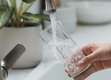 a hand getting tap water