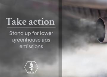 smoke from an exhaust pipe