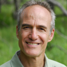 Peter Reich