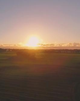 windmill in sunset