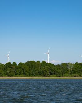 wind turbine in background, lake in foreground