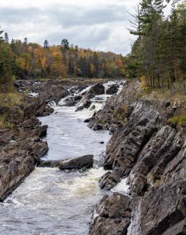 Flowing Creek