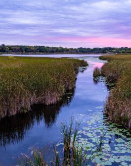 image of lake