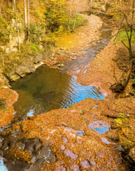 image of a creek in fall