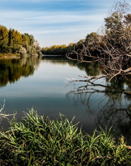 River view