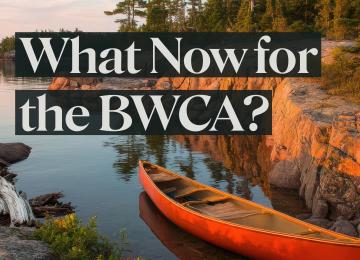 now what for the b w c a with a canoe in water