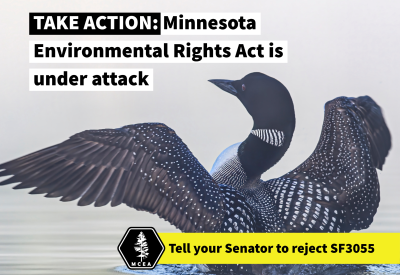 Take action: stand up for bedrock environmental law
