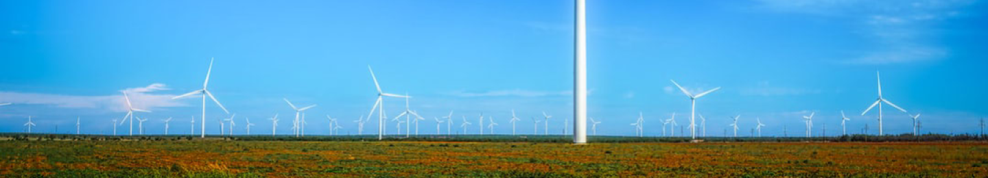 Wind Turbines on a hill