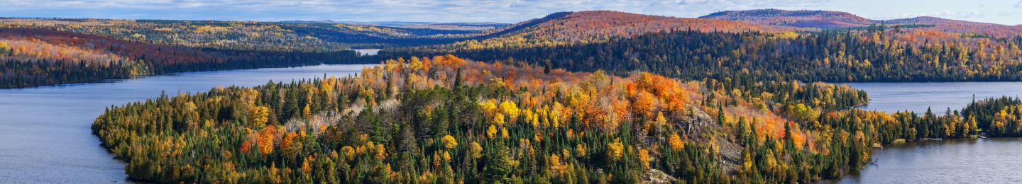 Superior national forest