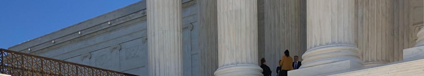 People on capitol steps