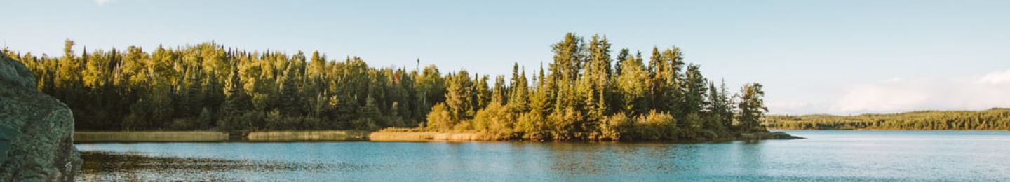 Shoreline in the Boundary Waters