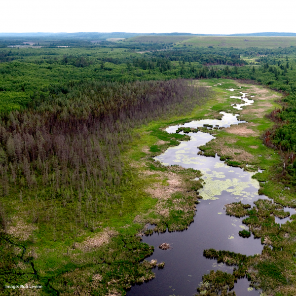 River near polyMet tailings dam - credit Rob Levine