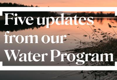 five updates from our water program written over a river bank in a pink sunset