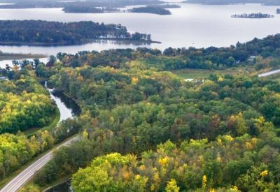 photo of forest and water from rob levine