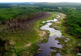 near proposed polymet mine site