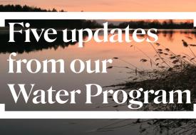 five updates from our water program written over a river bank in a pink sunset